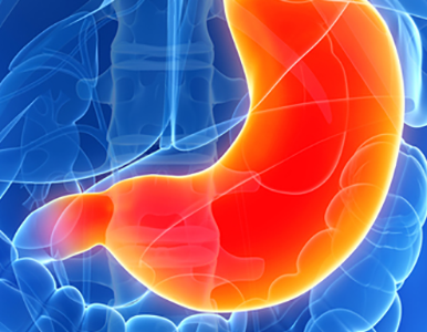 Новые представления о патогенезе метаболических заболеваний